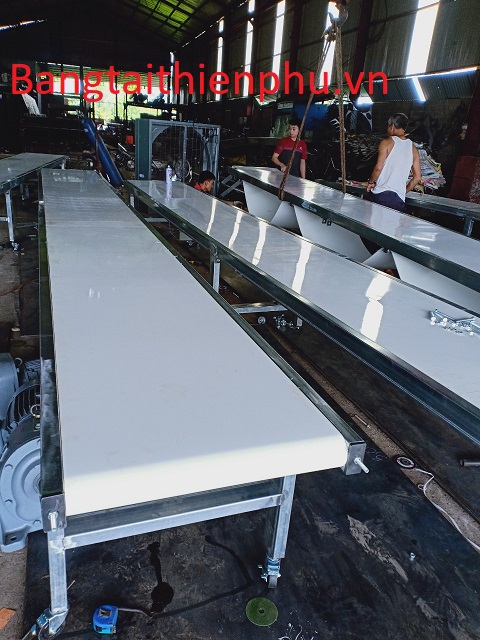 Băng tải Thiên Phú